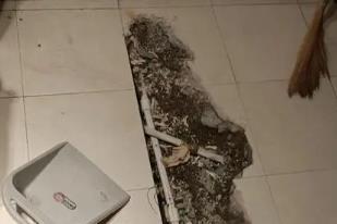 北辰卫生间漏水检测电话